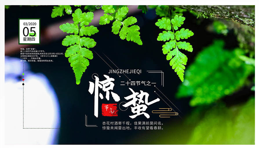 今日驚蟄｜春雷驚蟄，萬物復蘇！